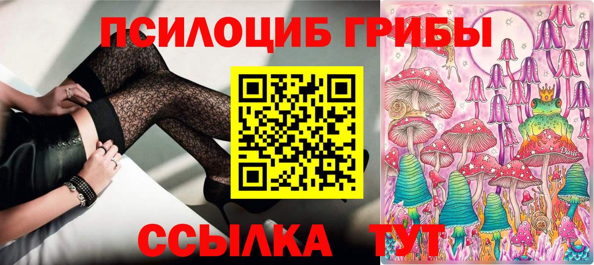 Екатеринбург  Псилоцибиновые грибы мухоморы  сколько стоит  Вход с VPN 