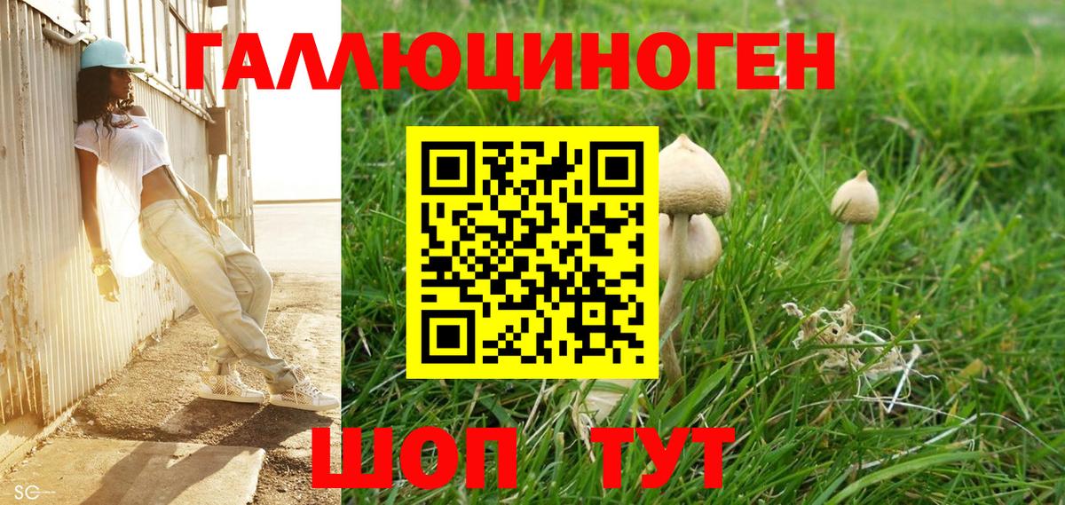 Псилоцибиновые грибы мухоморы Екатеринбург
